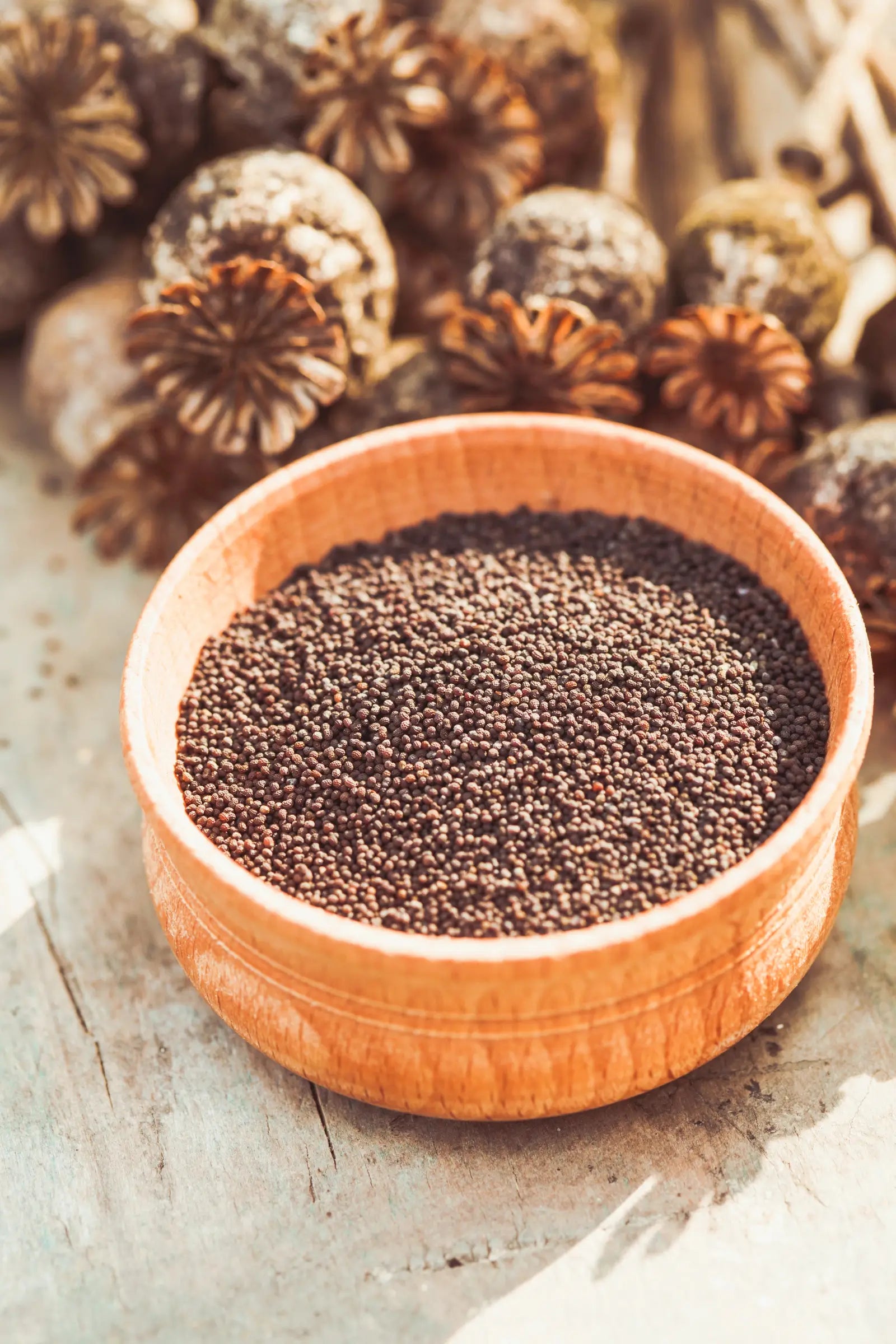 a wooden bowl full of organic poppy seeds