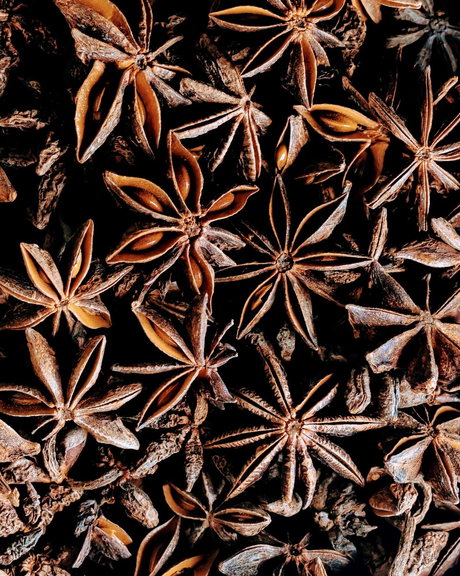 A close up of a pile of whole star anise