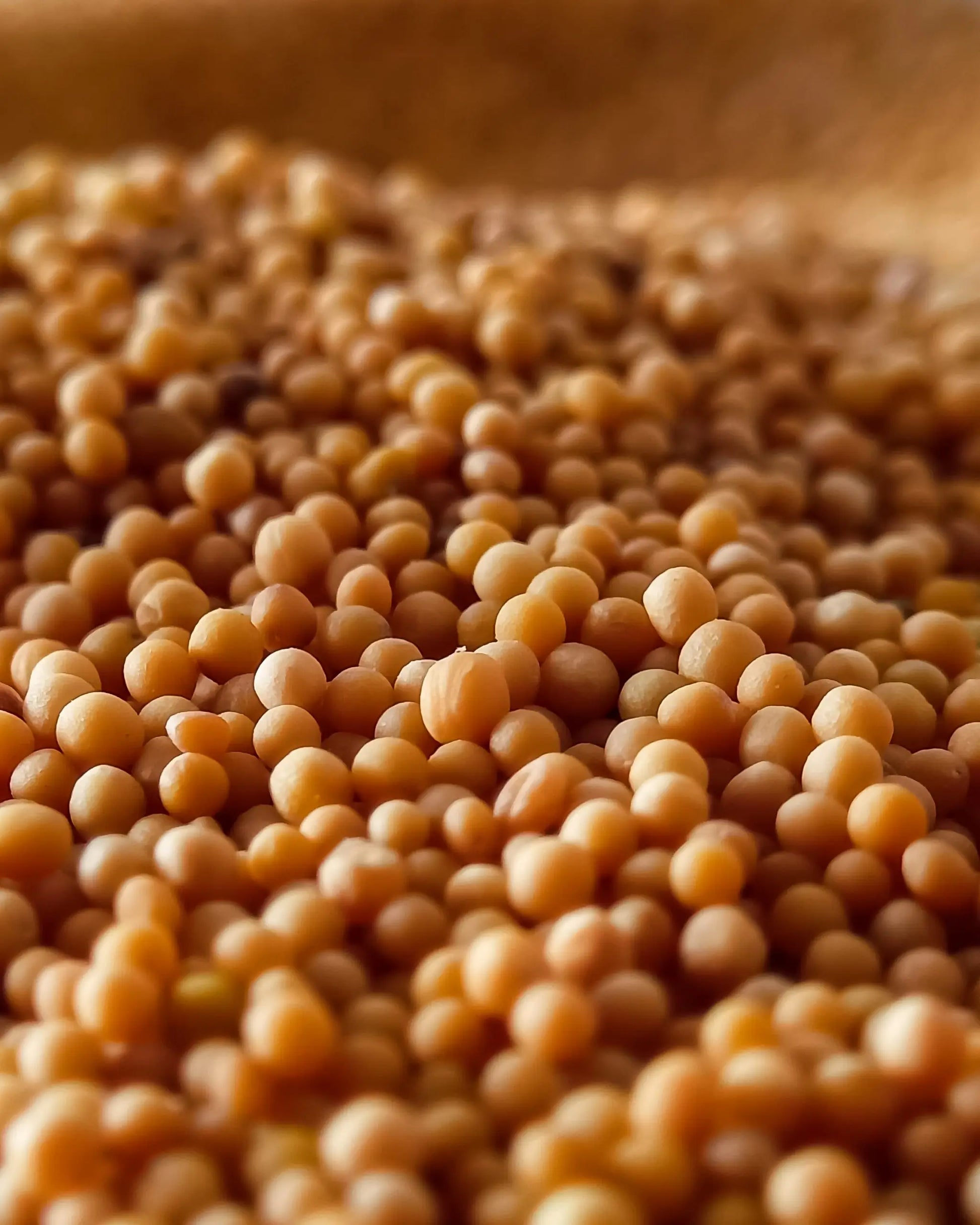 A close up of organic yellow mustard seeds in a wooden bowl